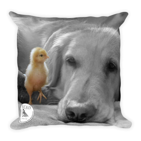 Jazmine's Chick Pillow